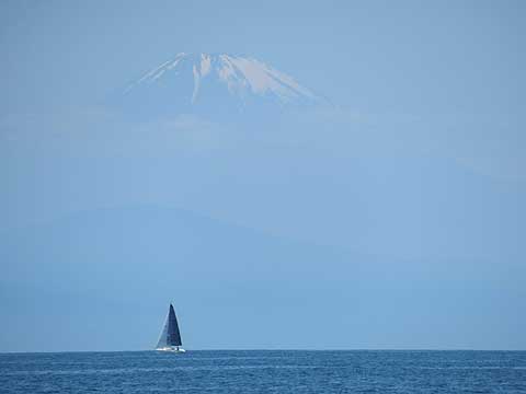 相模湾散骨と富士山