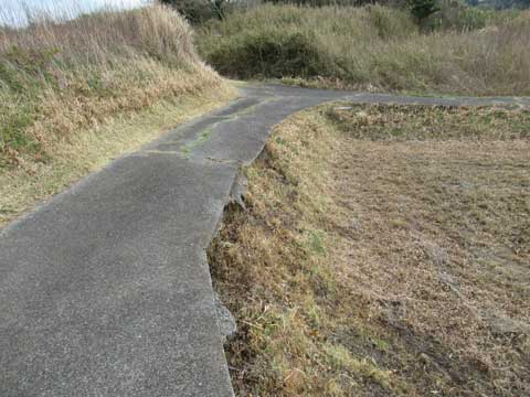 お墓に通じる道