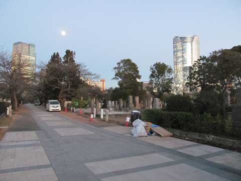 青山霊園の写真