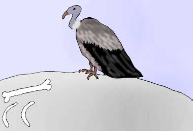 鳥葬のイラスト