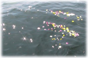 散骨で海に浮かぶ花