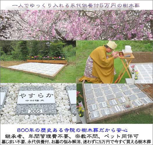 ５万円の樹木葬