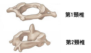 第一頸椎と第二頸椎
