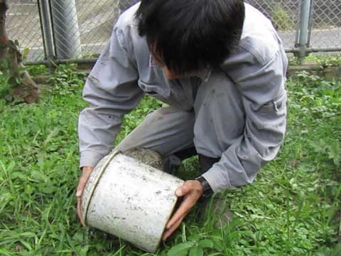 骨壺の水抜きと乾燥法