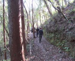 やすらかの森即日散骨