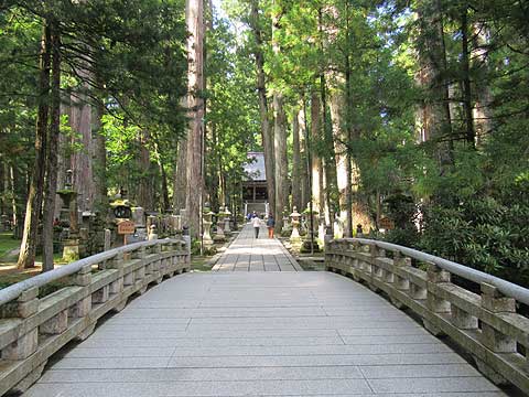 高野山奥の院の写真