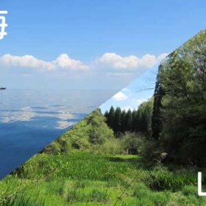 海と山の散骨