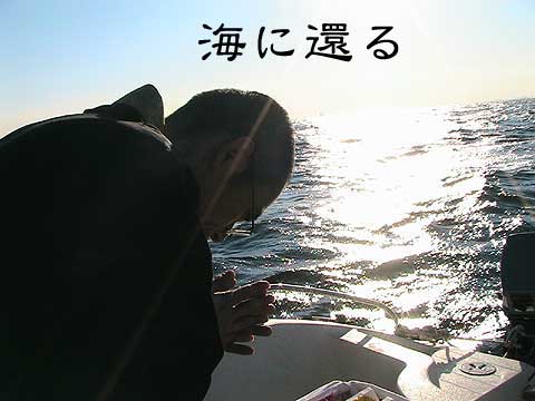 海に還る代行散骨