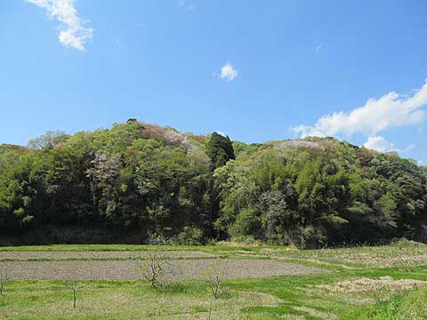 山の散骨の写真